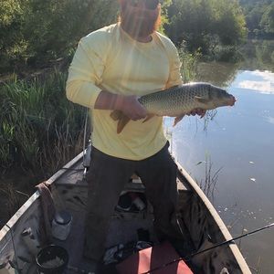 Meet your Posher, Tyler